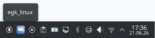 eGK Tray-Icon